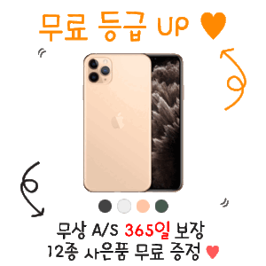 [12종 사은품 증정]아이폰 11 Pro MAX