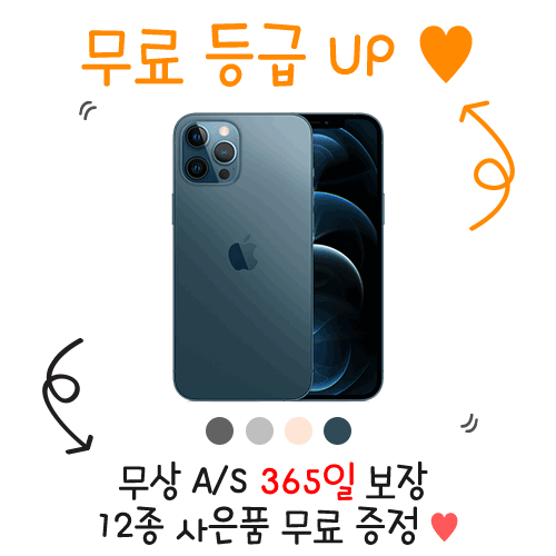 [12종 사은품 증정]아이폰 12 Pro Max